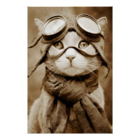 Écharpe Chat Lunettes Vintage Impression Rétro
