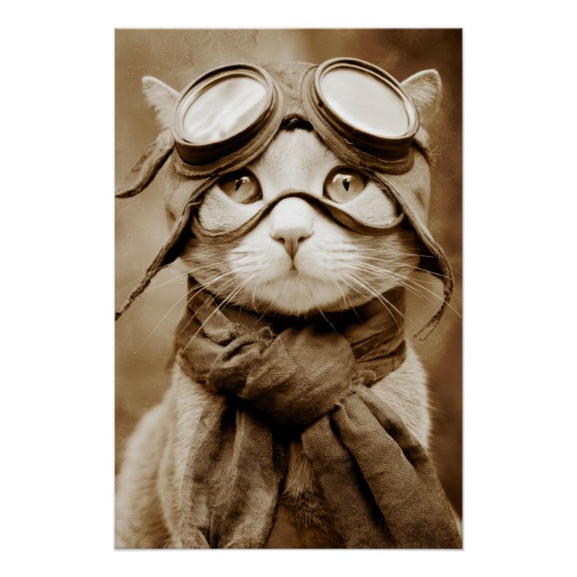 Poster Écharpe Chat Lunettes Vintage Impression Rétro (Devant)