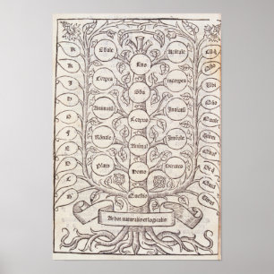 Poster Échelle céleste