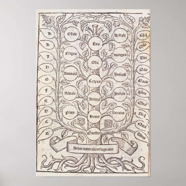 Poster Échelle céleste (Devant)