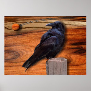 POSTER ÉCLIPSE DE RAVEN