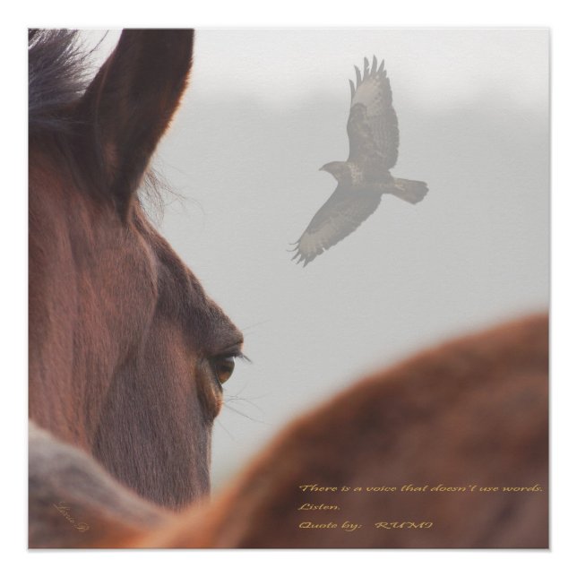 Poster Écouter (Devant)