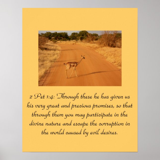 Poster Écriture chrétienne 2 Animal 1:4 (Devant)