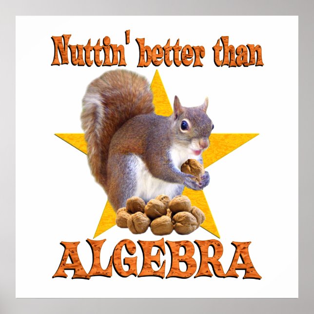 Poster Écureuil d'Algebra (Devant)