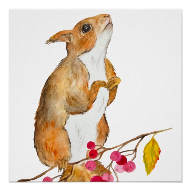 Poster Écureuil d'aquarelle drôle sur une branche avec de (Devant)