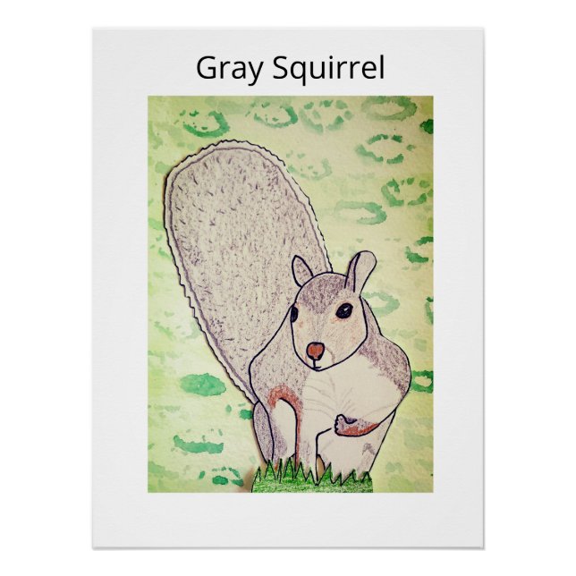 Poster Écureuil gris  (Devant)