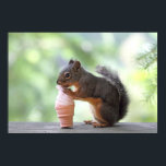 Poster Écureuil mangeant un cône de glace<br><div class="desc">Photo d'un écureuil mangeant un cône de glace à l'extérieur sur la balustrade en bois d'un pont arrière. L'écureuil lèche un faux cône avec ce qui ressemble à de la crème glacée aux fraises... ou peut-être que c'est de la glace aromatisée à l'arachide ! Un bel arrière - plan vert...</div>