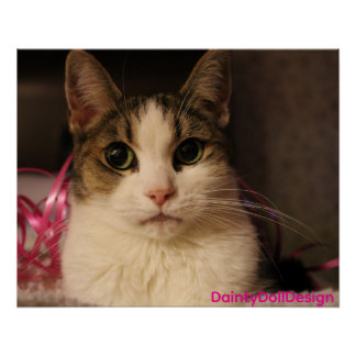 Poster Édition Ruban Rose : Dainty Doll dans un portrait