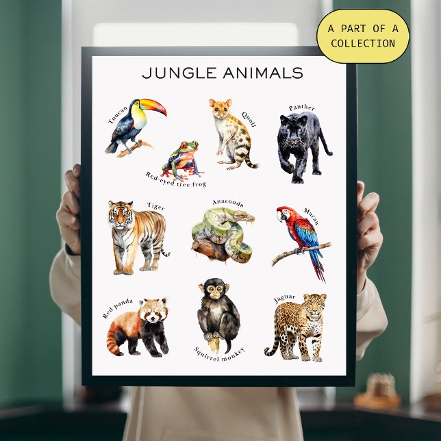 Poster éducatif Jungle Animaux (Créateur téléchargé)