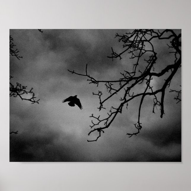 Poster Eerie Bird en vol (Devant)