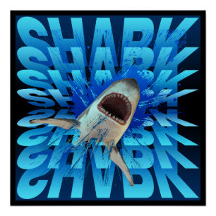 Poster effet de texte requin typographie