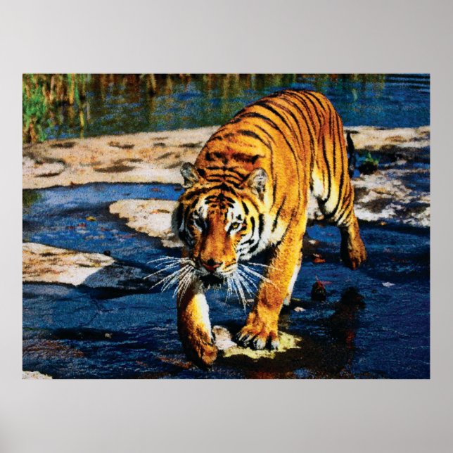 Poster Effets individuels Animaux 2 cmyk (Devant)
