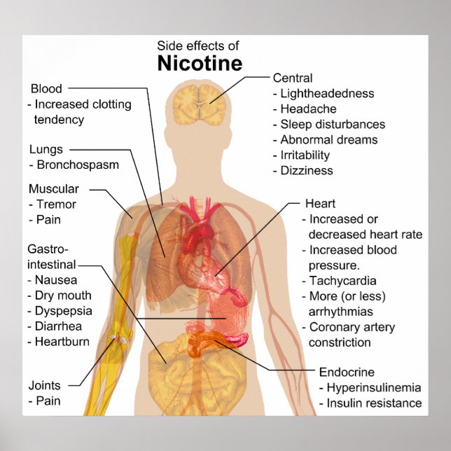 Poster Effets secondaires de la nicotine sur le corps hum (Devant)