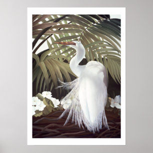 Poster Egret et Palmes