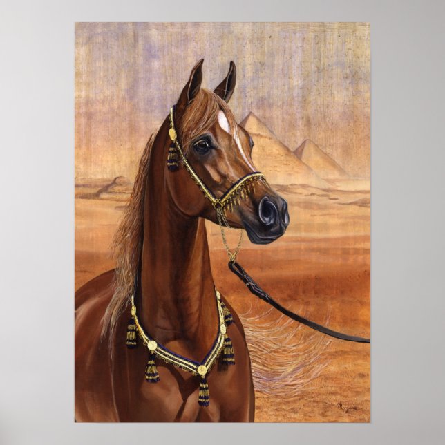 Poster égyptien Princesse Arabe TOUTES TAILLES (Devant)