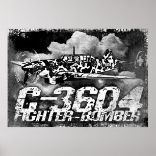 Poster EKW C-36