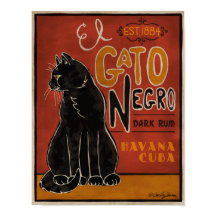 Poster El Gato Negro