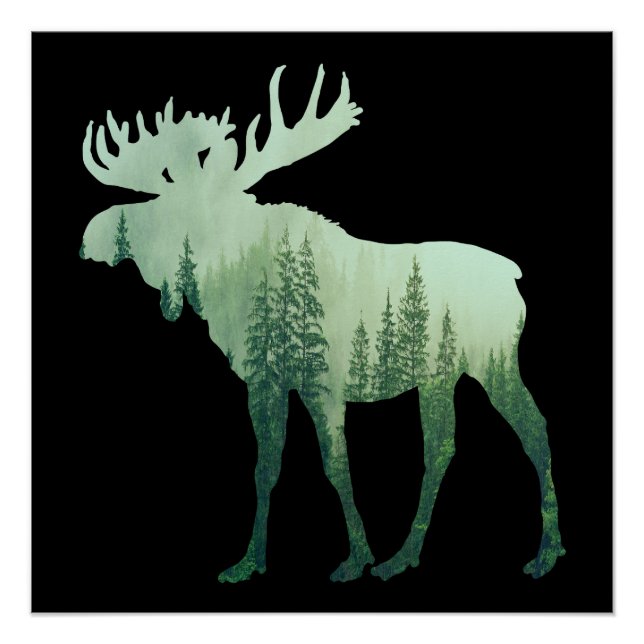 Poster Élan Cerf Et Forêt Nature (Devant)