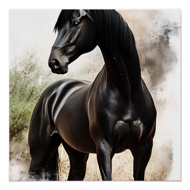 Poster Élégance Ébène (Devant)