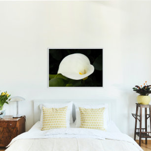 Poster Elégant blanc Calla Lily Floral