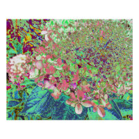 Élégant Corail et Chartreuse Limelight Hydrangea