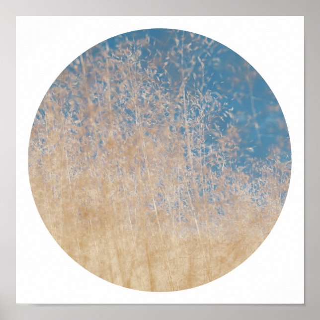 Poster élégant Golden Grass Blue Sky Dreamy (Devant)