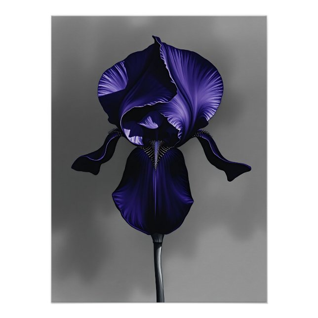 Poster Elégant Iris Foncé Avec Gris Fumé (Devant)