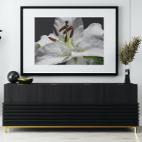 Élégante Lys Orientales Blanches Florales