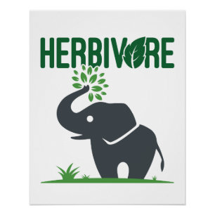 Poster Élément Herbivore Plante Mangeant