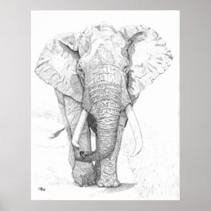 Poster Eléphant