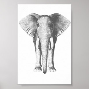 Poster Eléphant en noir et blanc