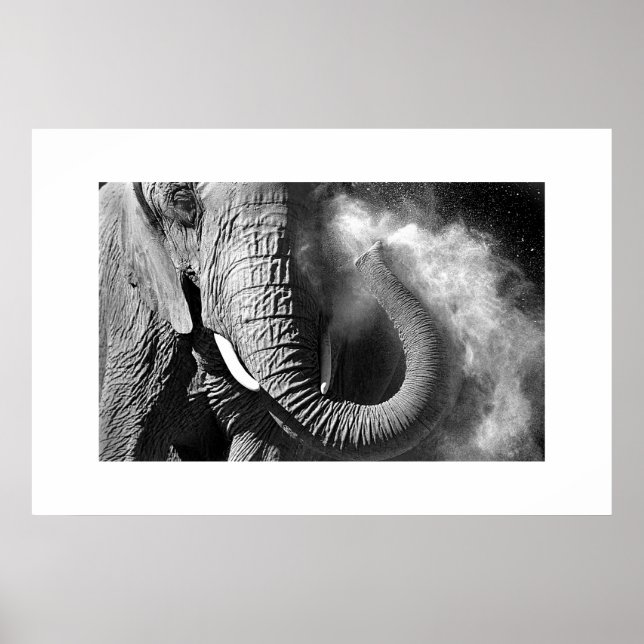 Poster Eléphant n° 1 (Devant)
