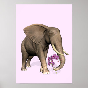 Poster Elephant With Pink Orchid
