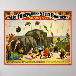 Poster Éléphants