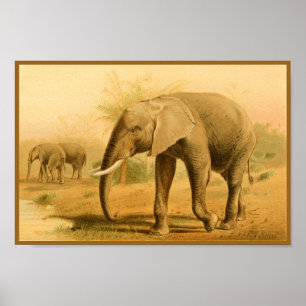 Poster Eléphants africains Art animal Vintage Imprimer