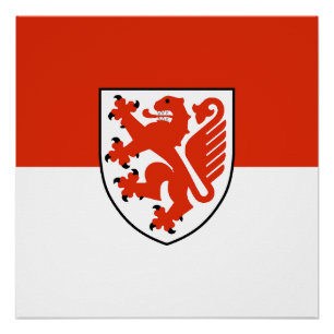 Poster emblème de la ville de Braunschweig symbole du dra