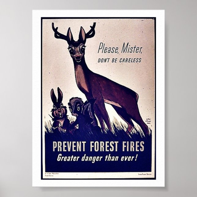 Poster Empêcher les incendies de forêt (Devant)