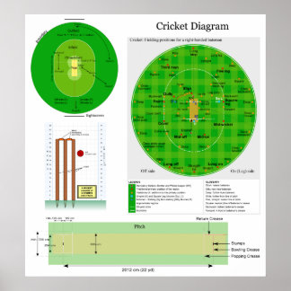 Poster Emplacement du terrain de cricket et diagramme des