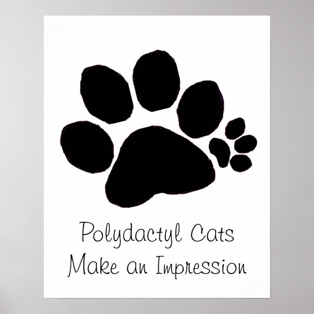 Poster - Empreinte de patte Polydactyl (Devant)