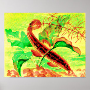 Poster empreinte de poisson
