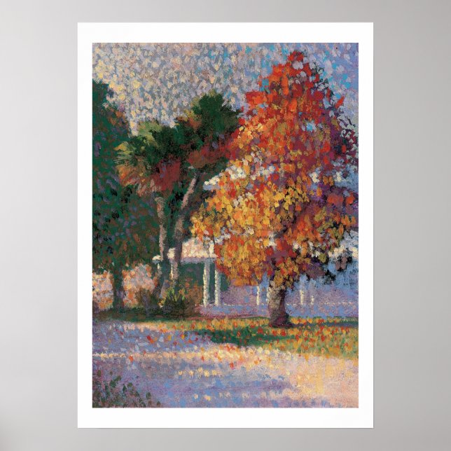 Poster Empreinte d'érable et de palmiers (Devant)