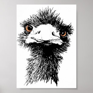 Poster Emu