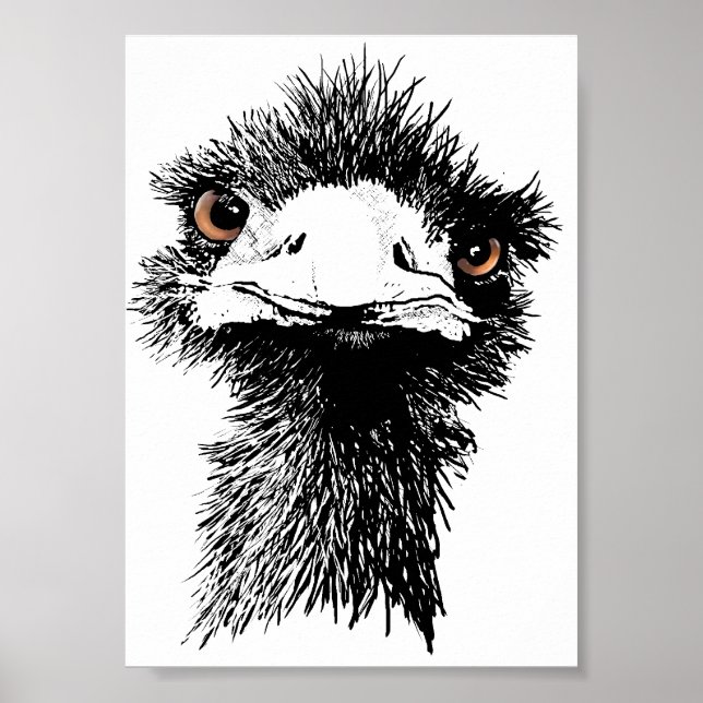 Poster Emu (Devant)