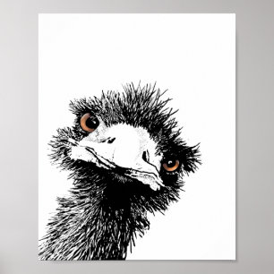 Poster Ému – plume et encre