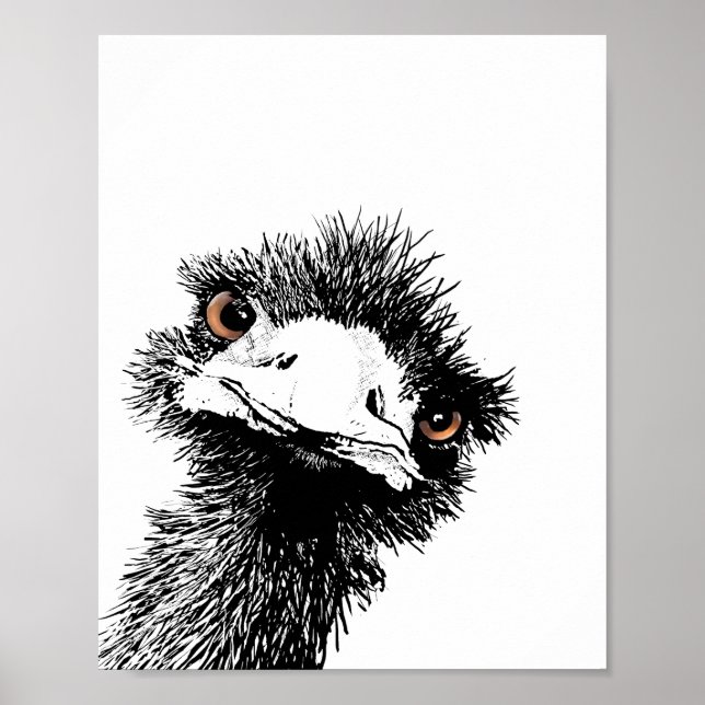Poster Ému – plume et encre (Devant)