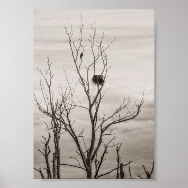 Poster En attendant la vie (Devant)