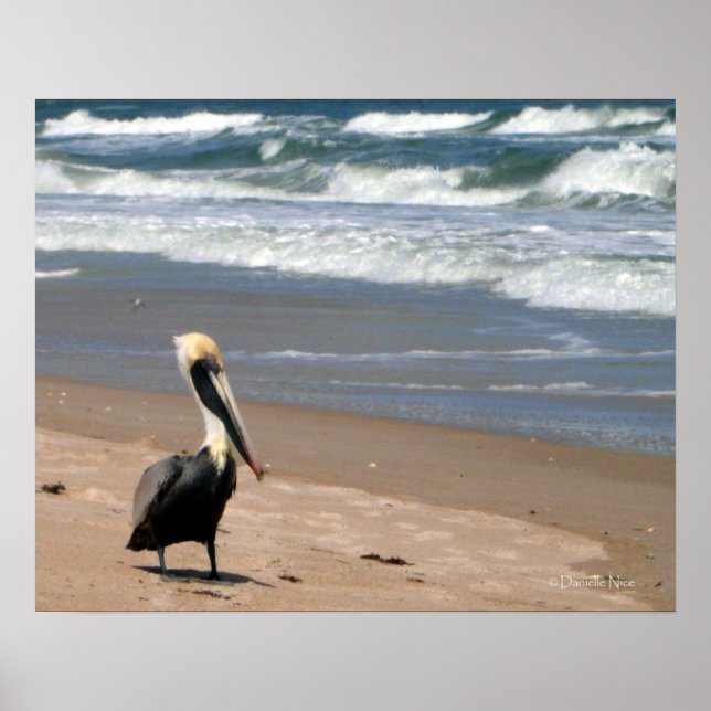 Poster en attente (Devant)