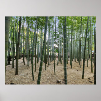 Poster en bambou