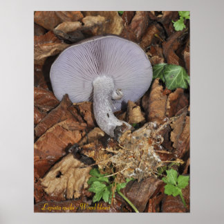 Poster en bois