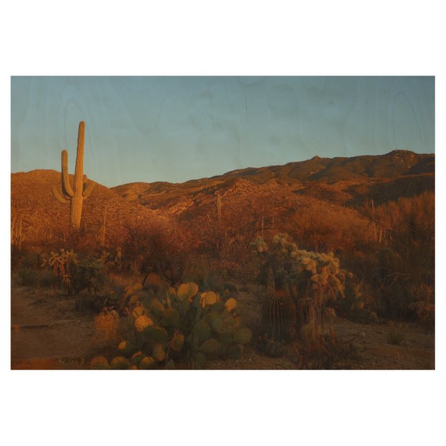 Poster En Bois Saguaro Sunset I Arizona Désert Paysage (Devant)